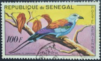 /album/galeria-de-fotos-senegal/a0246-1960-jpg/